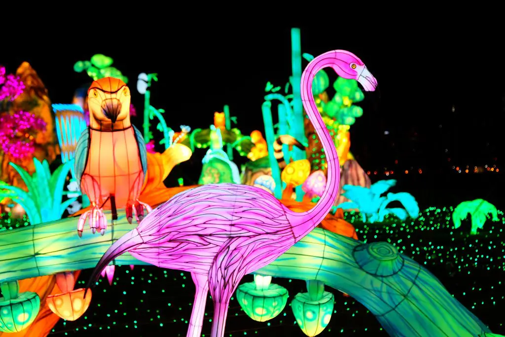 LuminoCity_Nature_Zoofari 4-3