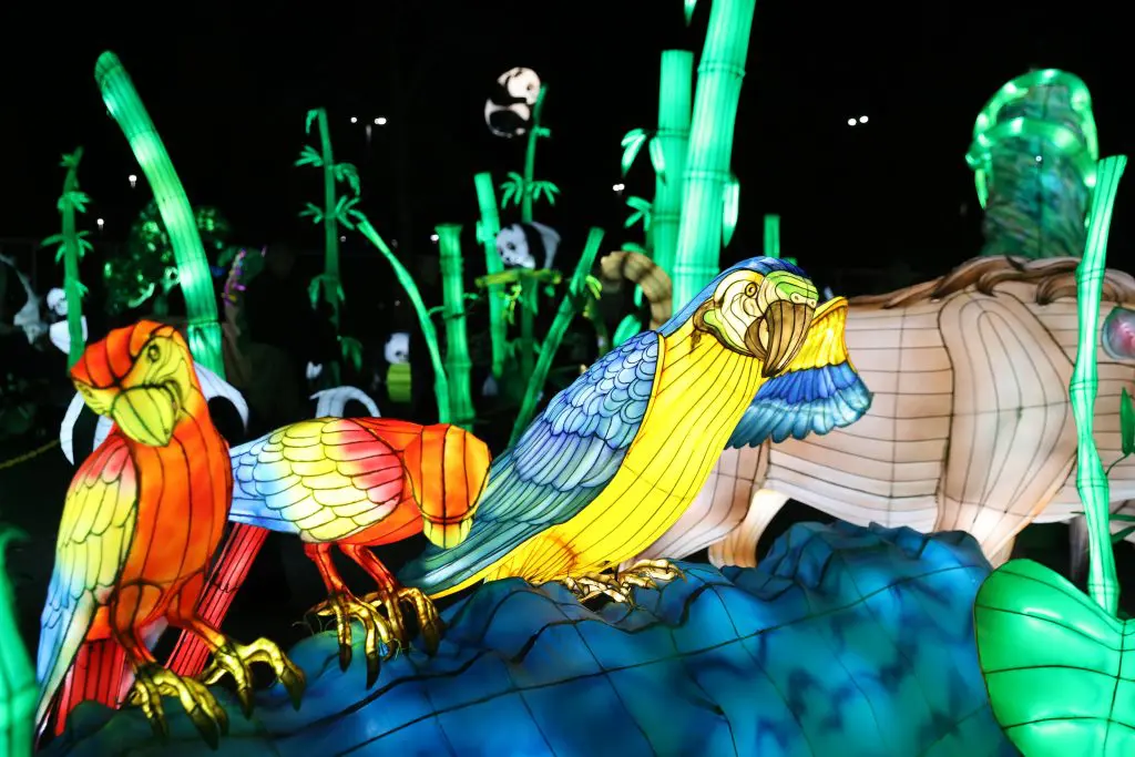 LuminoCity_Nature_Zoofari 5-12