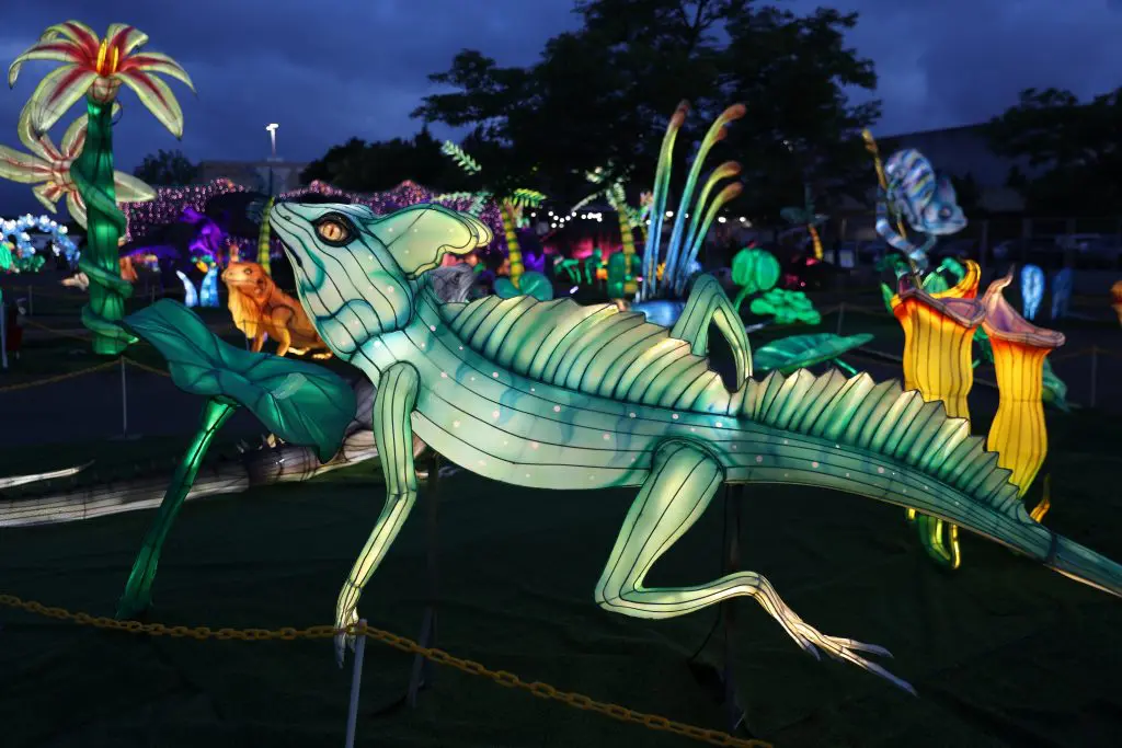 LuminoCity_Nature_Zoofari 6-8