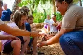 Educator introducing children to a turtle