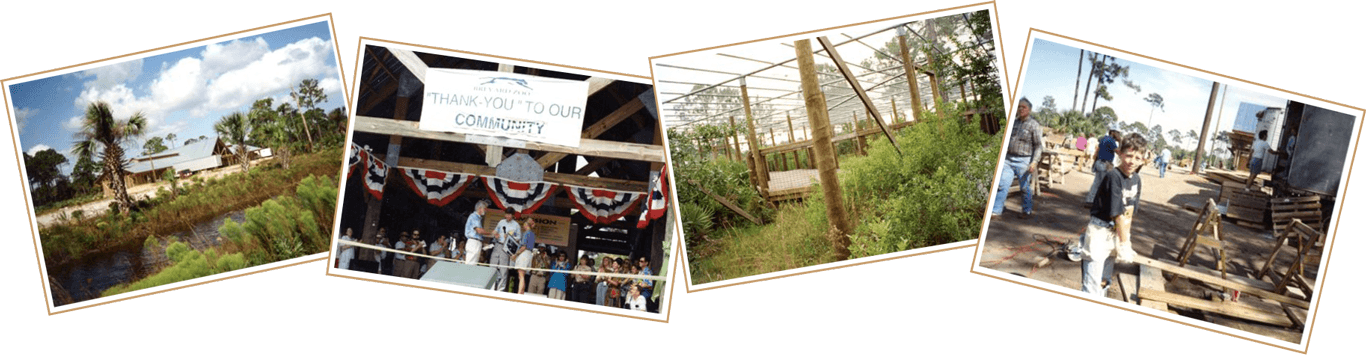 Experiences at Zoo
