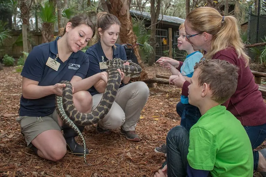 Education staff presents a snake to guests