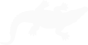 alligator