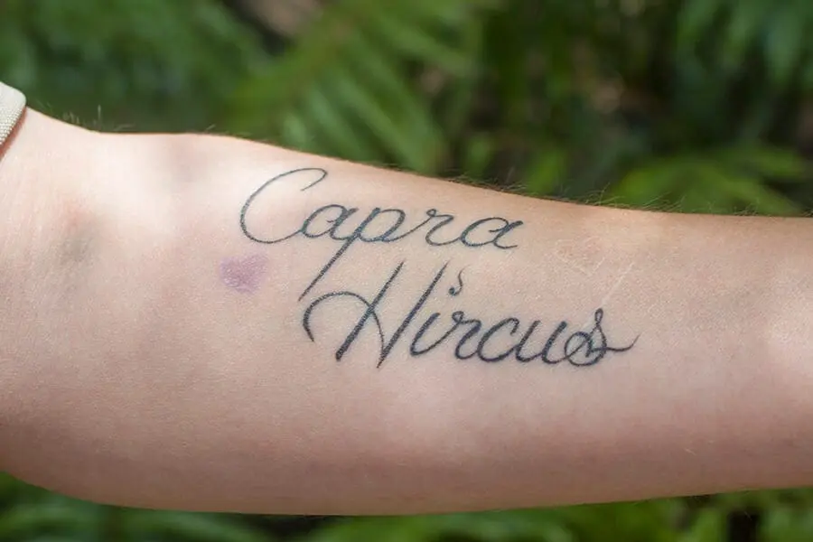 Em's tattoo with the scientific name for goat