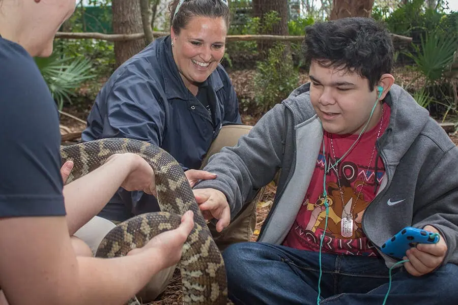 Animal encounter in the Exceptional Nature Space