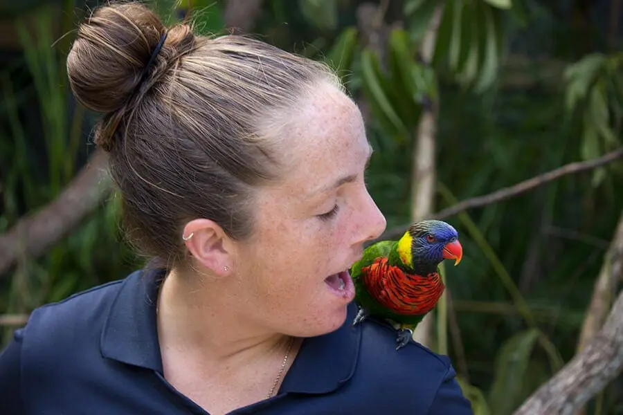 Gus sits on an employee's left shoulder