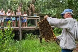 Beekeeper with hive