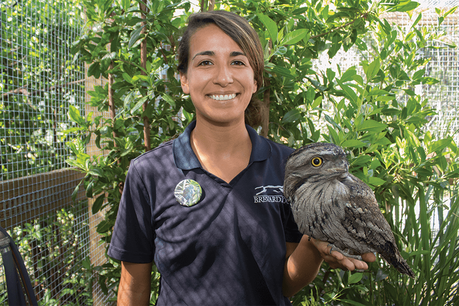 Michelle and Furby a tawny frogmouth