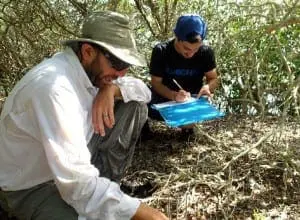 Researchers looking at terrapins