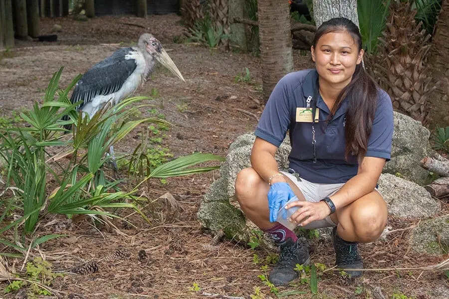 Tiffany with Consuela the marabou stork