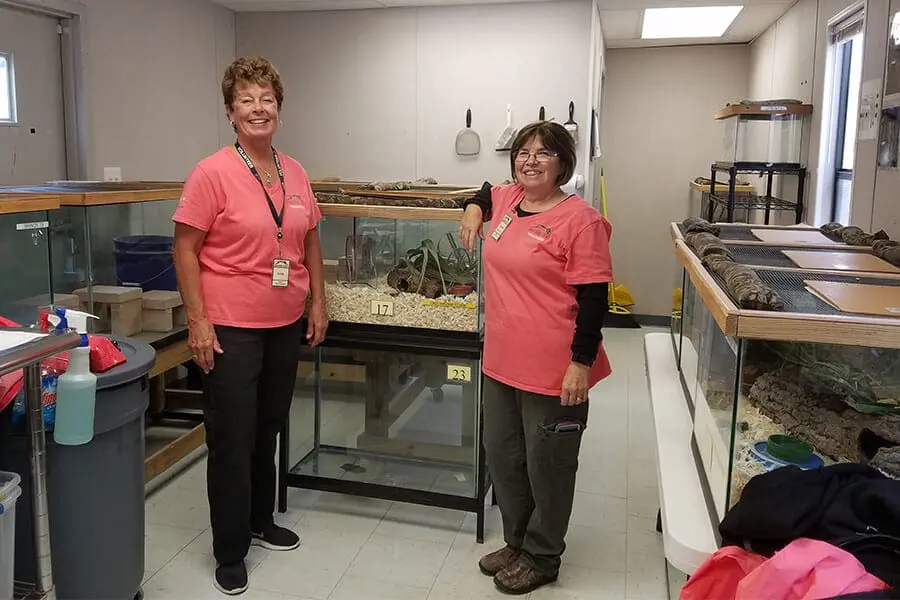 Two volunteers flank a Perdido Key beach mouse tank.