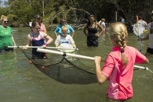 Group using a net in lagoon