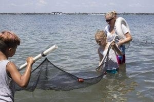 Volunteers working with a net in Indian River Lagoon