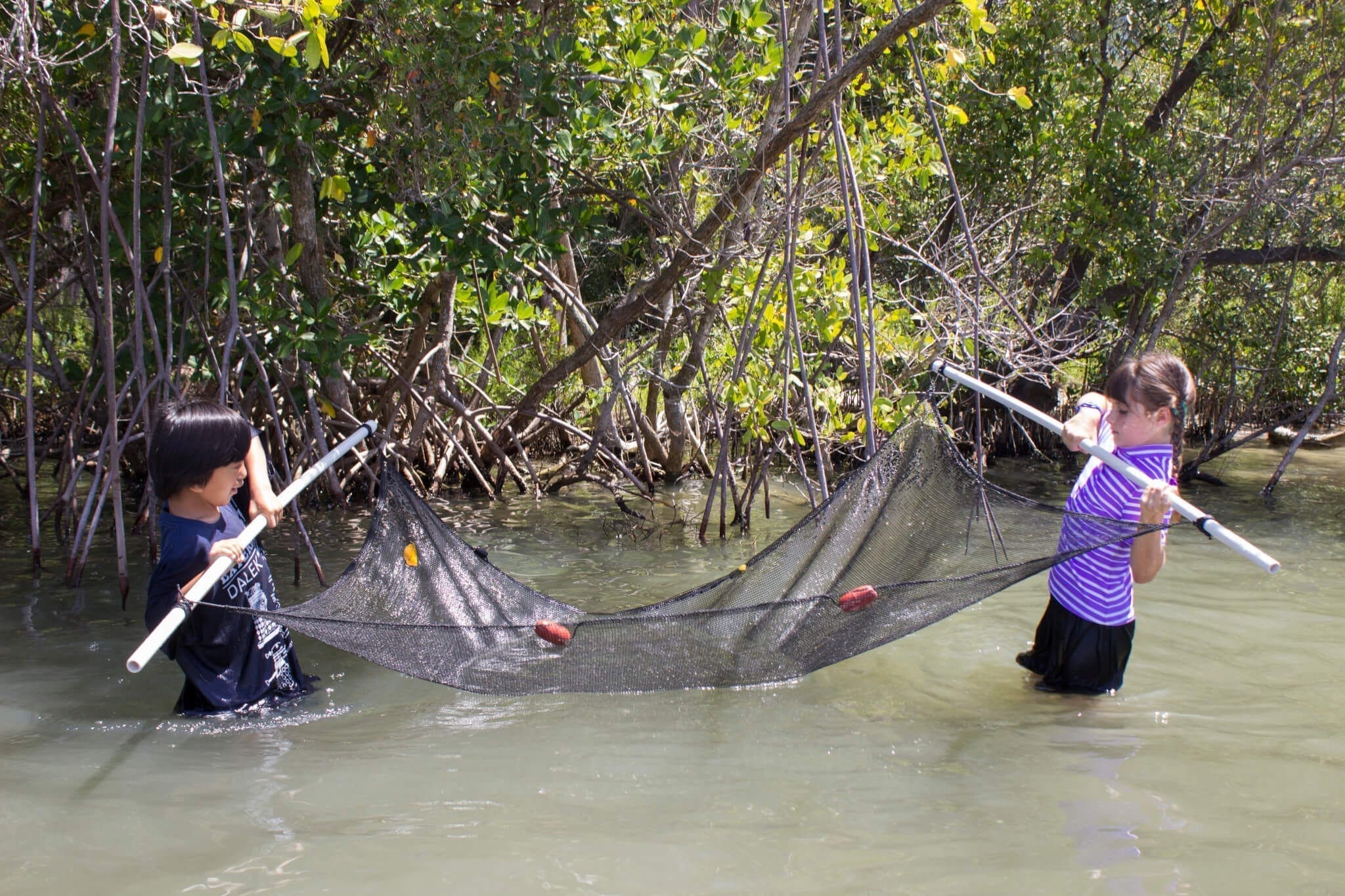 Homeschool students working in Indian River Lagoon