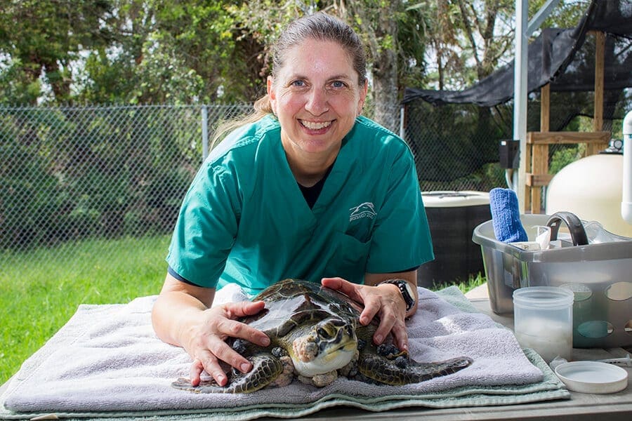 Beth with a green sea turtle patient