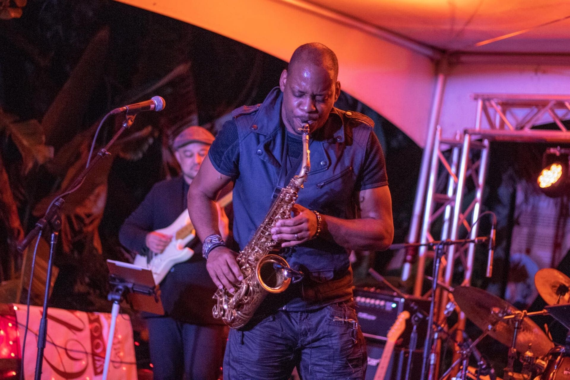 Jazzoo Eat Drink And Dance The Night Away At Brevard Zoo