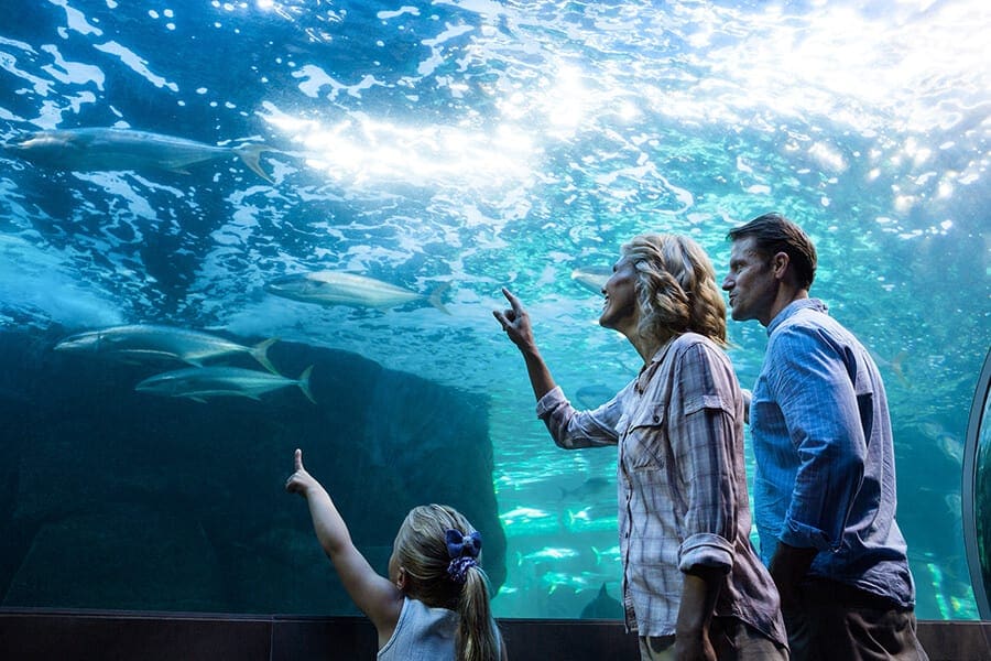 Family in aquarium tunnel
