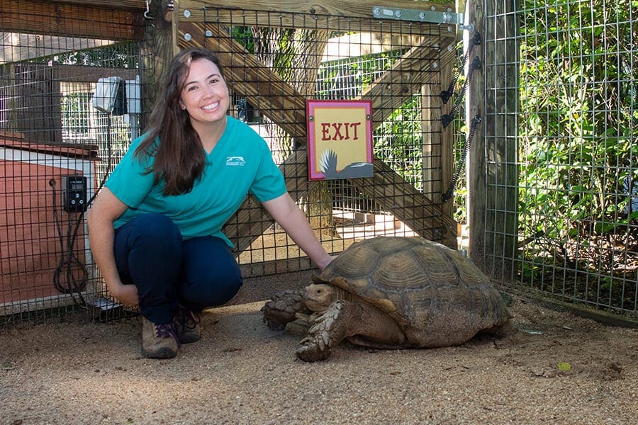 Say Hello to Our Newest Veterinarian - Brevard Zoo Blog