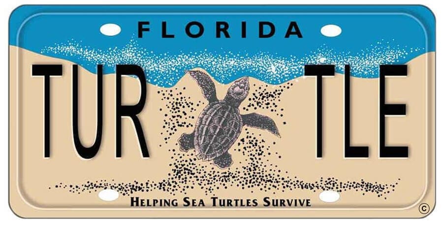sea turtle license plate