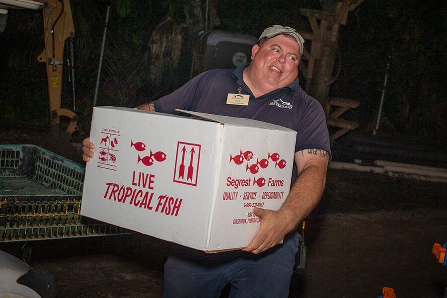 A man in a blue shirt carries a white box labeled "LIVE TROPICAL FISH"