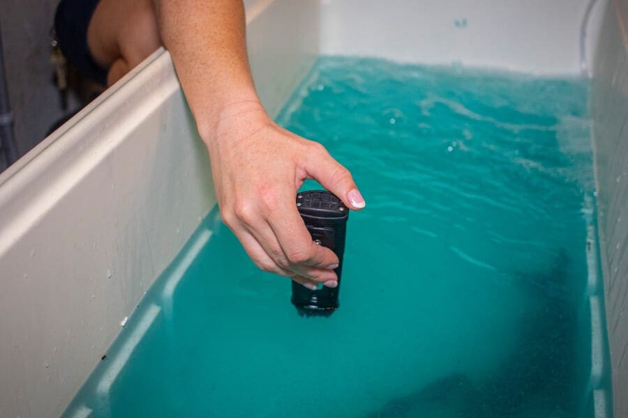 A woman places the end of a long, black device in a cooler filled with blue water.