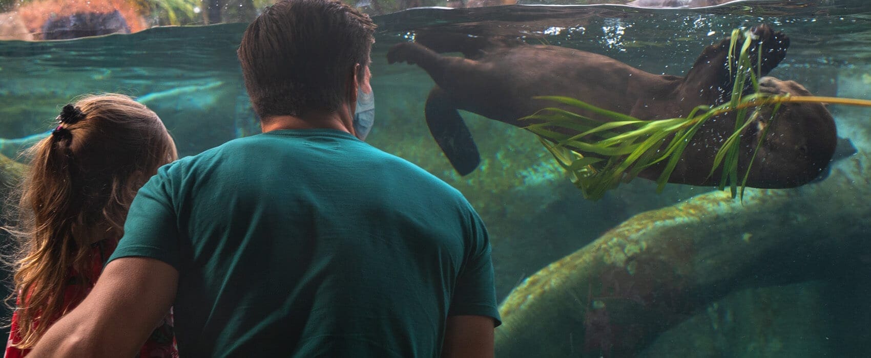 HeaderTemplate_05_11_20_WelcomeBack_Masks_Clean