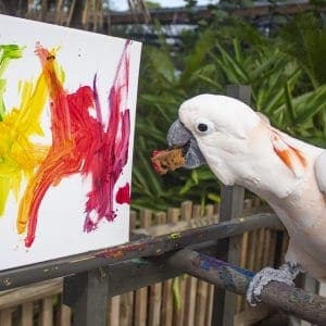 Goofy bird painting wish list