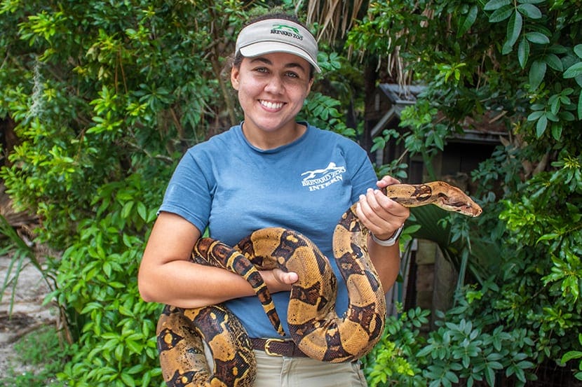 Female zookeeper holds a large snake.