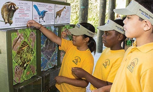 A group of children placing quarters in boxes for the Zoo's conservation program.