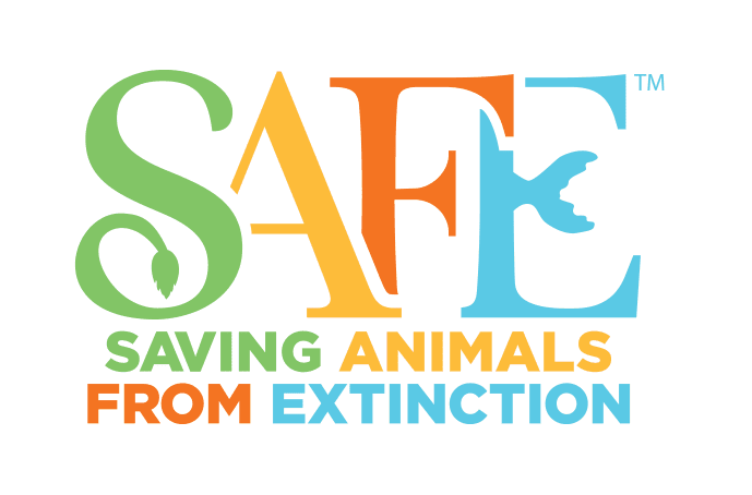 Multicolored image that reads SAFE: Saving Animals From Extinction.
