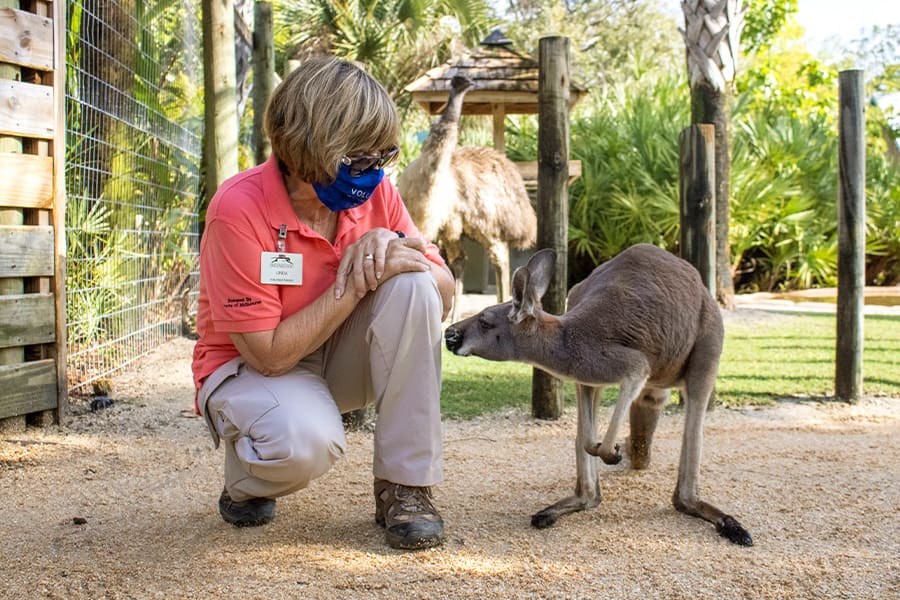 Linda Chadwick with kangaroo