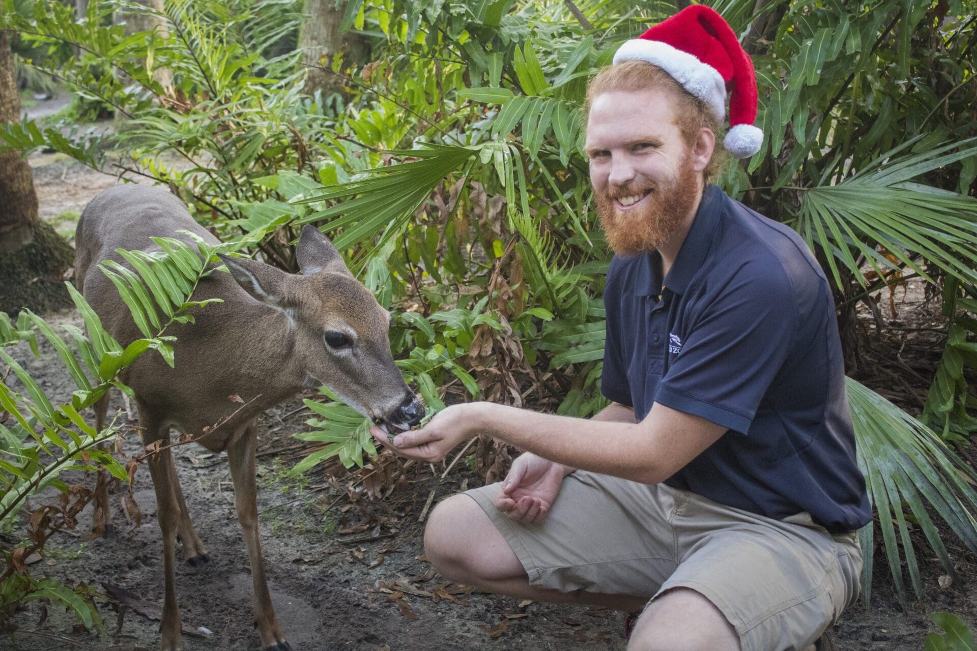 Remembering Clementine Brevard Zoo Blog