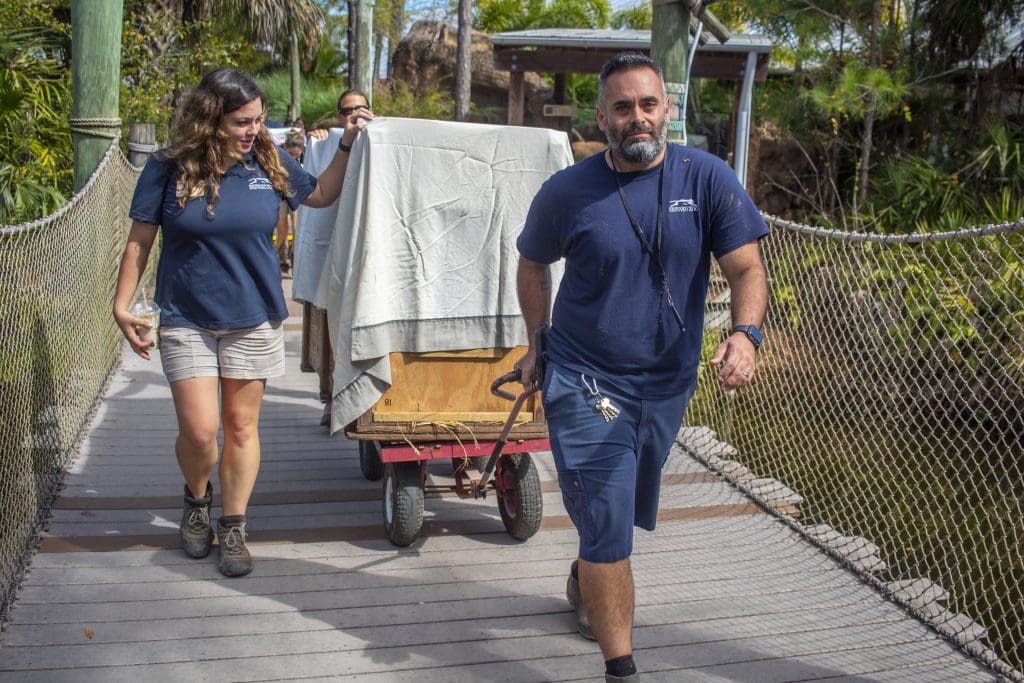 Animal registrar Sebastian Carcano moves a Zoo resident.