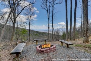 Cabin firepit outdoors