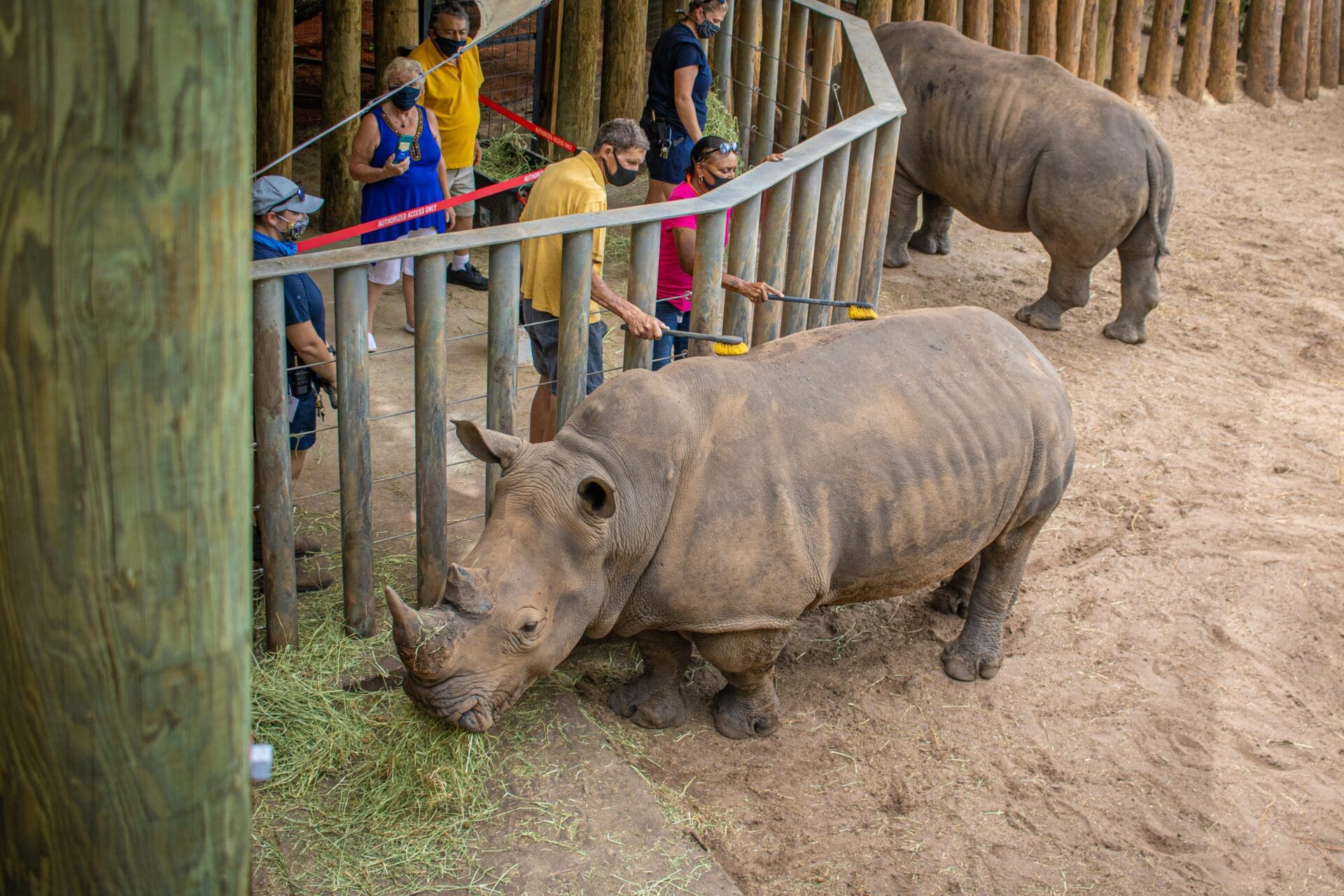 Multiple people are outside a private rhino encounter.