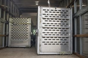 Lion arrival in crates
