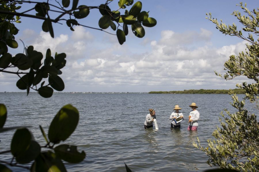 Restore Our Shores members inspect the shoreline of our future aquarium.