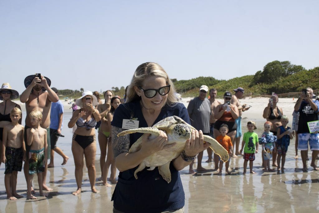 A woman holds a green sea turtle