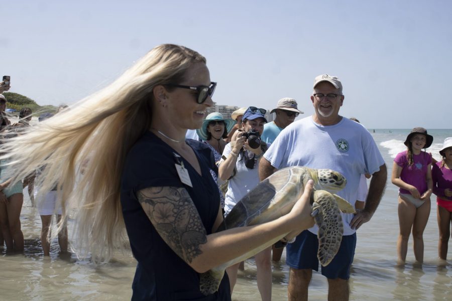 A woman holds a sea turtle