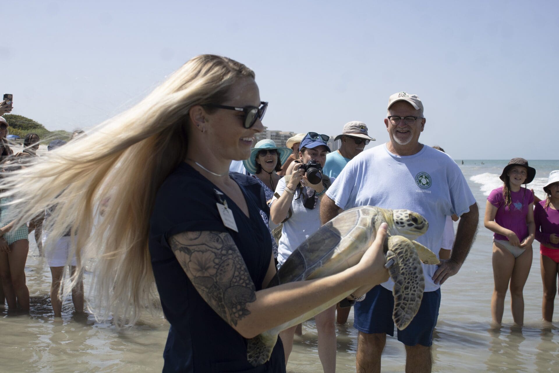 Sending Venus the Green Sea Turtle Home - Brevard Zoo