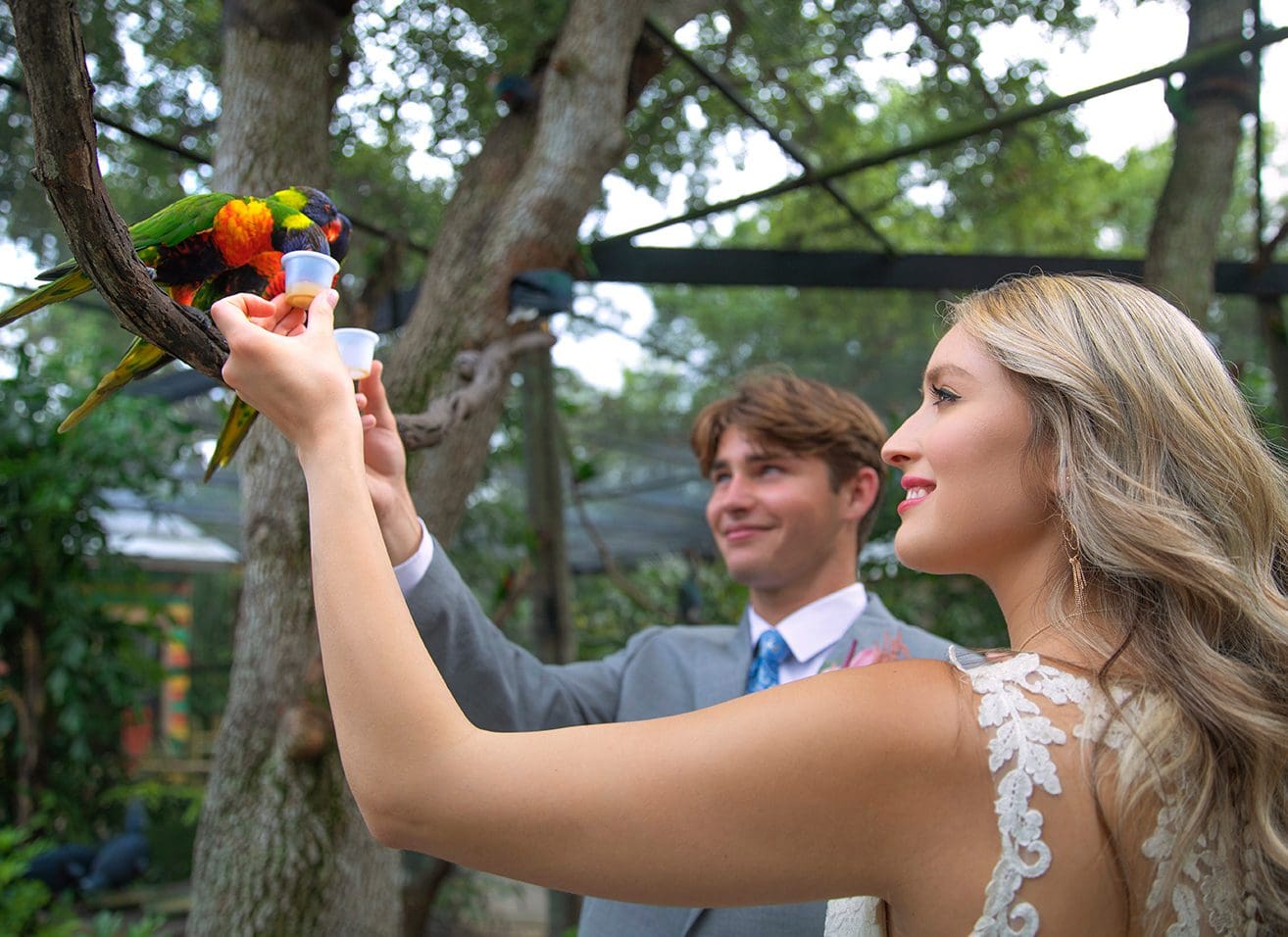 bride and groom feeding birds