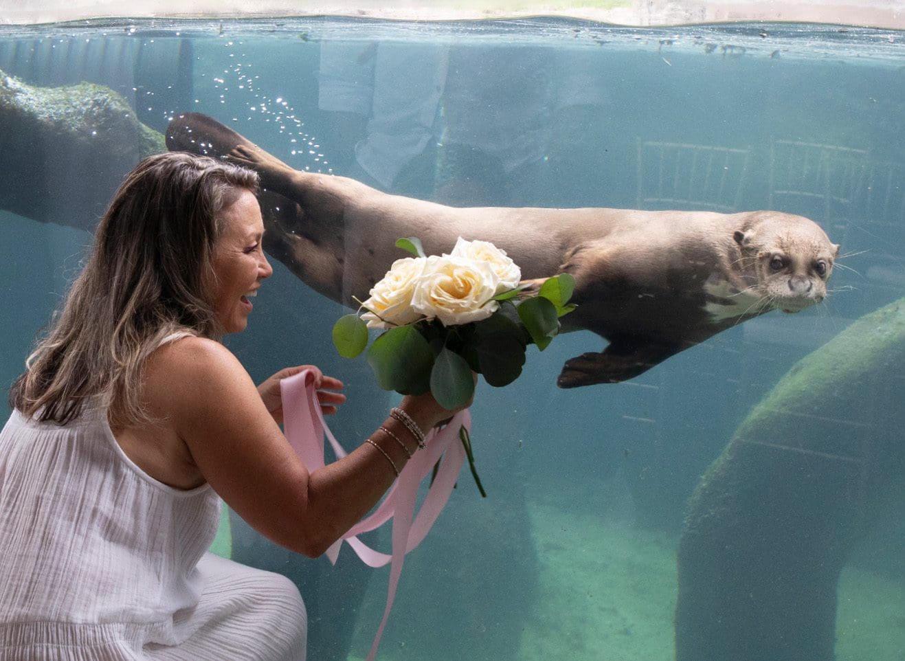 Wedding bride with otter at Zoo