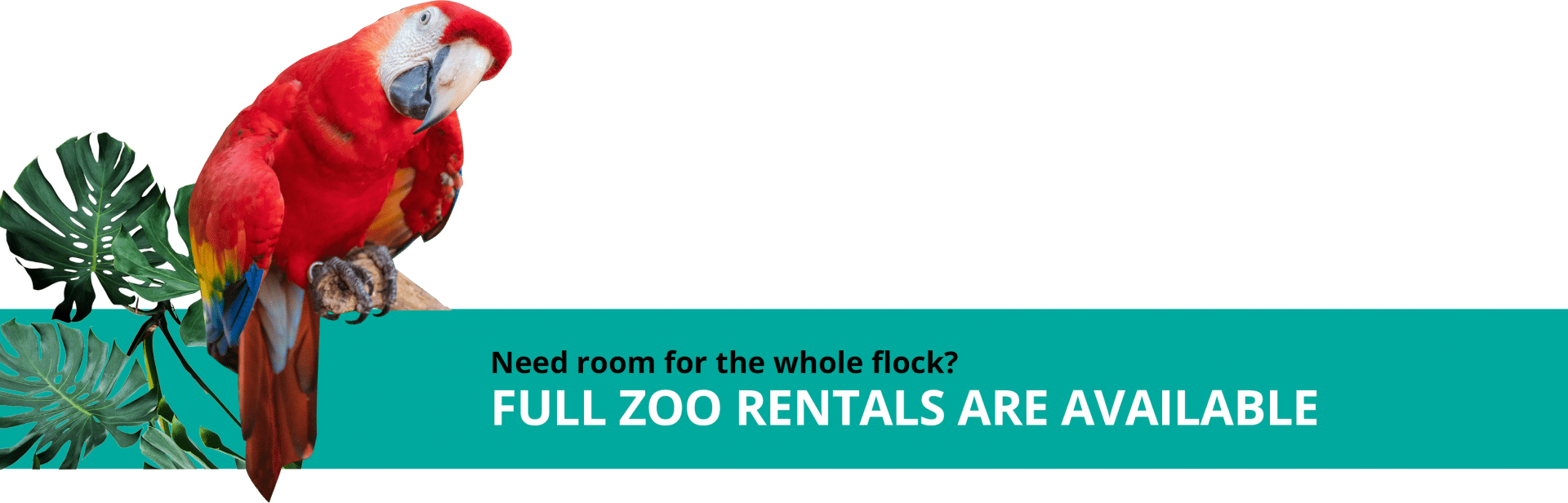 Full Zoo Banner