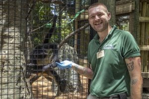Rainforest Revealed keeper Nathan Edwards with Mateo the spider monkey