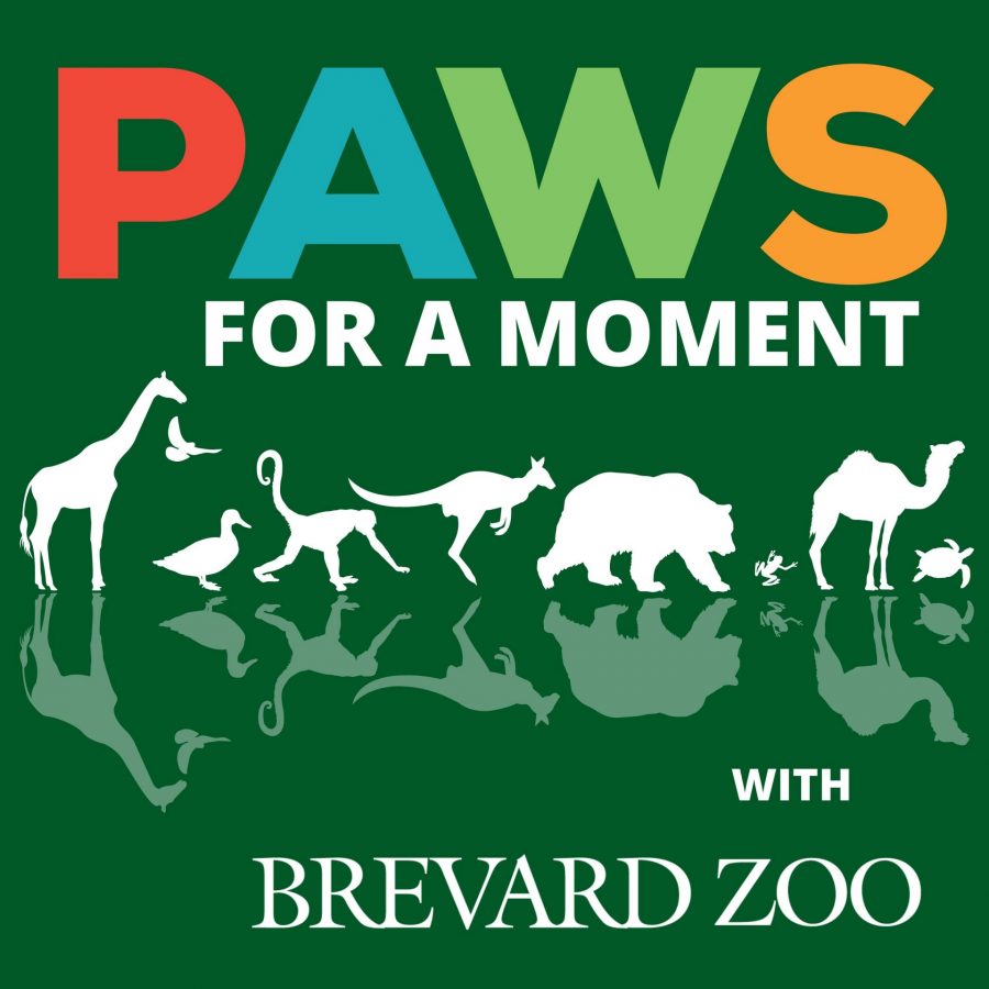 The logo for Brevard Zoo's new podcast, Paws for a Moment