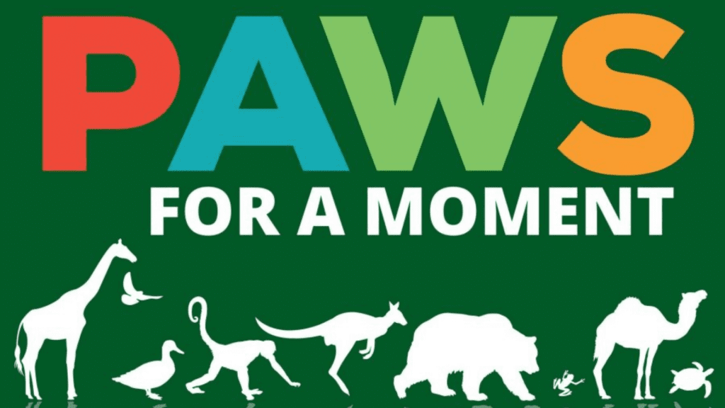 Paws for a Moment podcast art