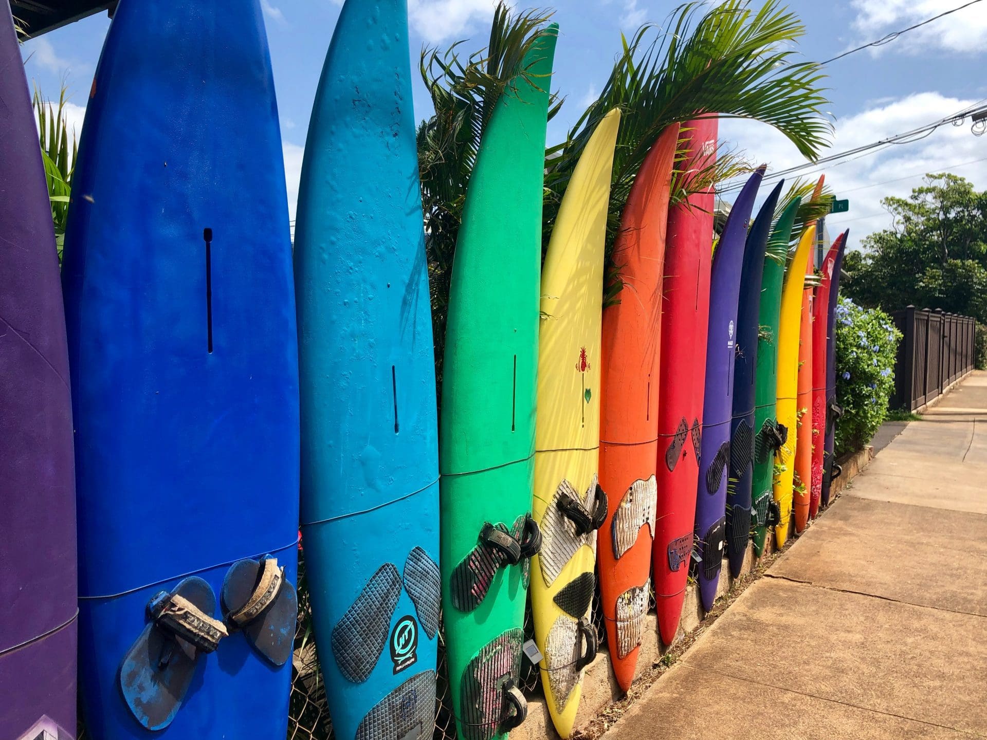 surfboards standing up vertically making a fence in every color of the rainbow