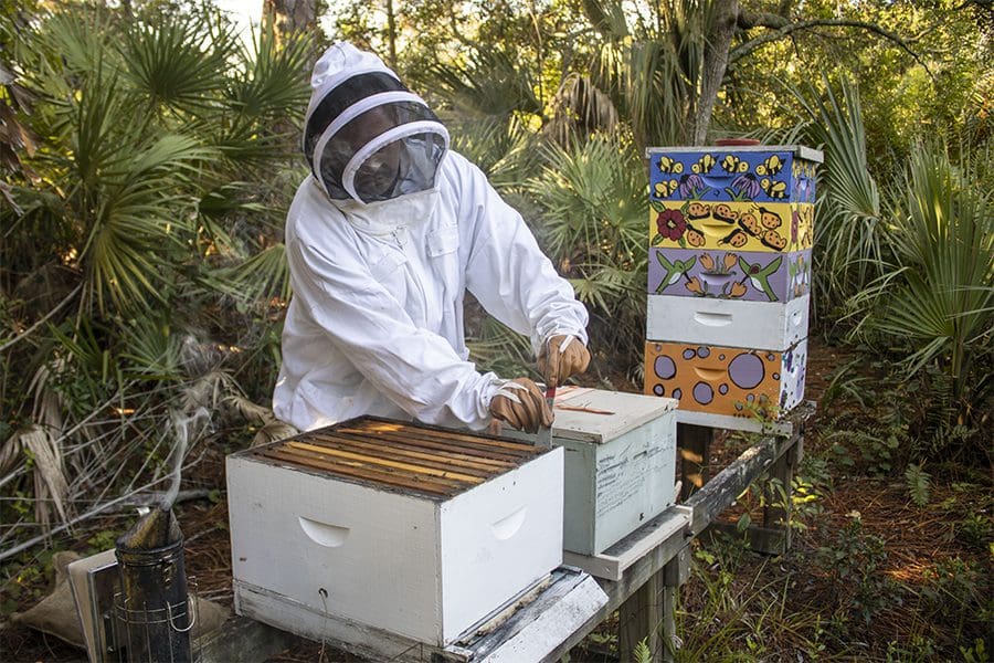 A man inspects a bee hive while wearing a bee suit.