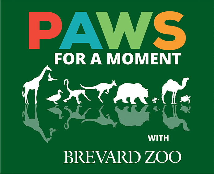 Green box with animal silhouettes that reads PAWS For a Moment with Brevard Zoo.