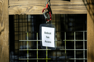 A sign reading "Bobcat has access"